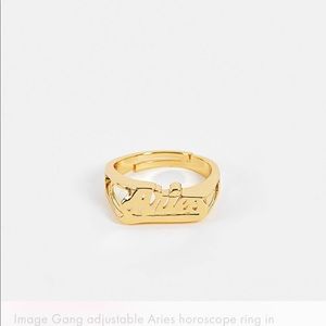 NEW!!! Aries Ring from ASOS